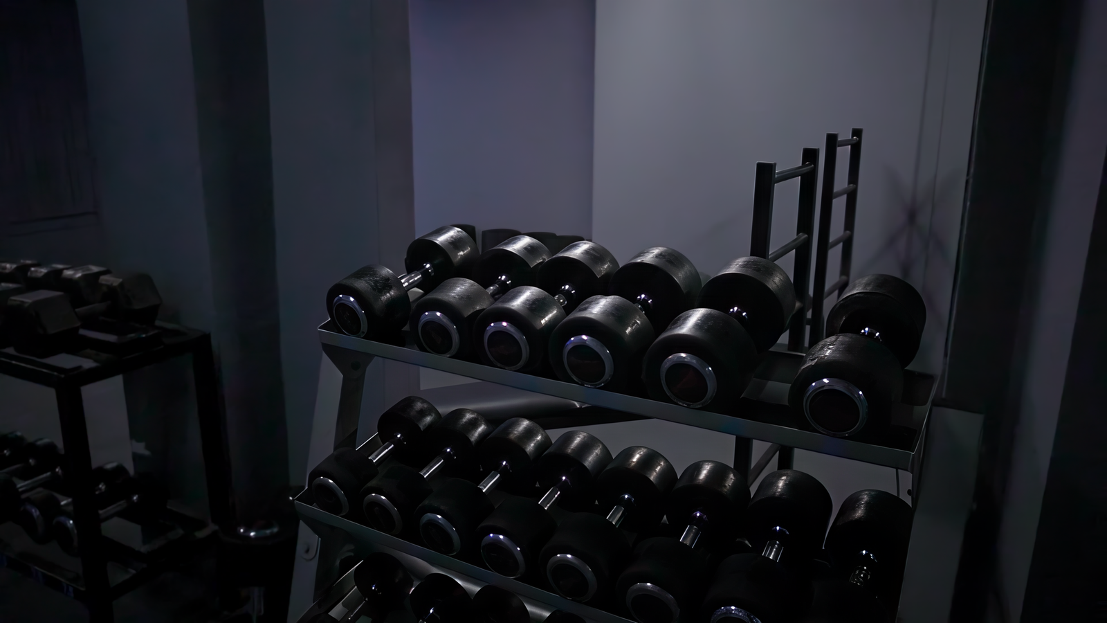 Ελεύθερα Βάρη — Sport Fitness Club Δράμα