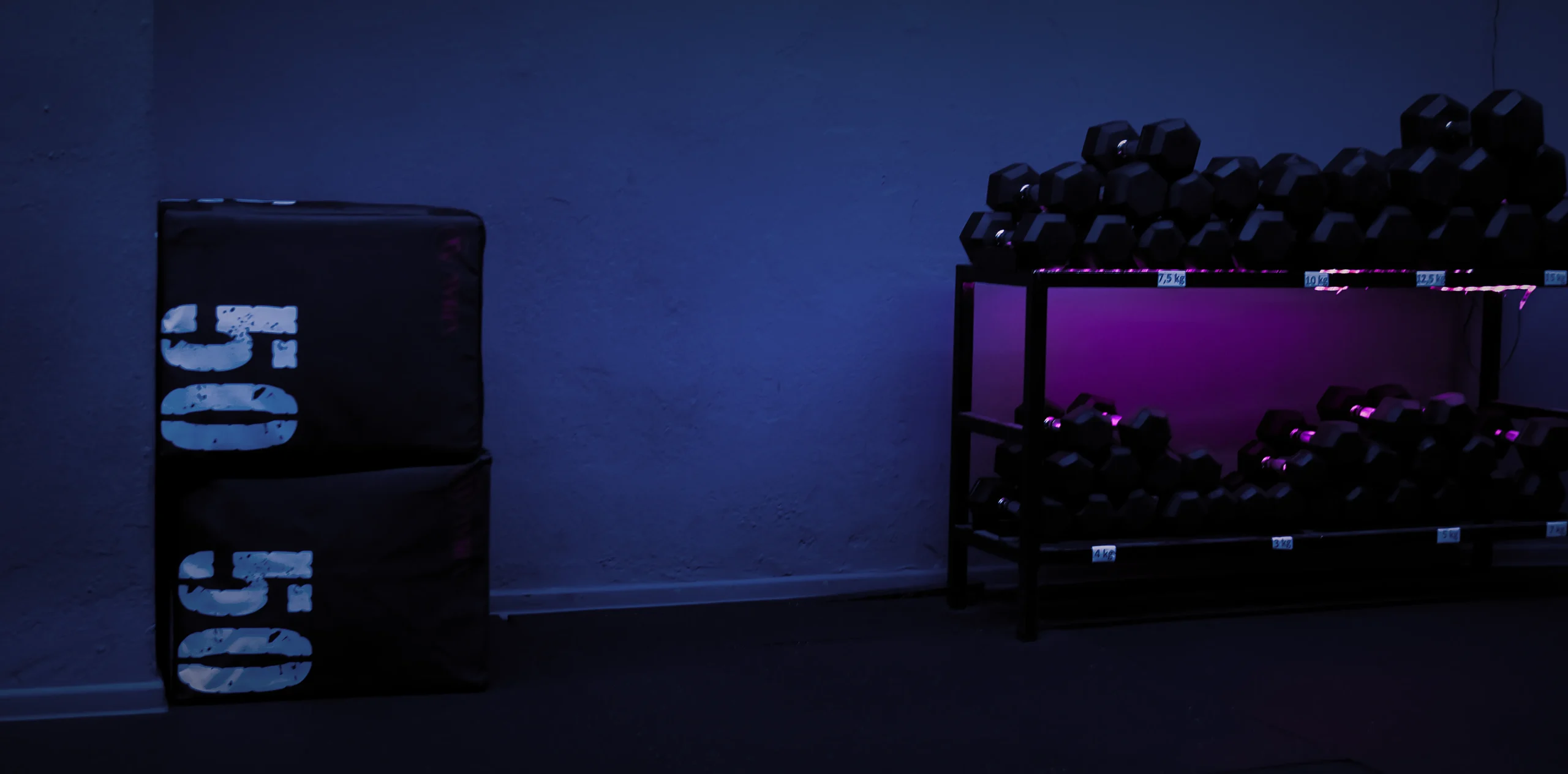 Λειτουργική προπόνηση Cross Training — Sport Fitness Club, Δράμα